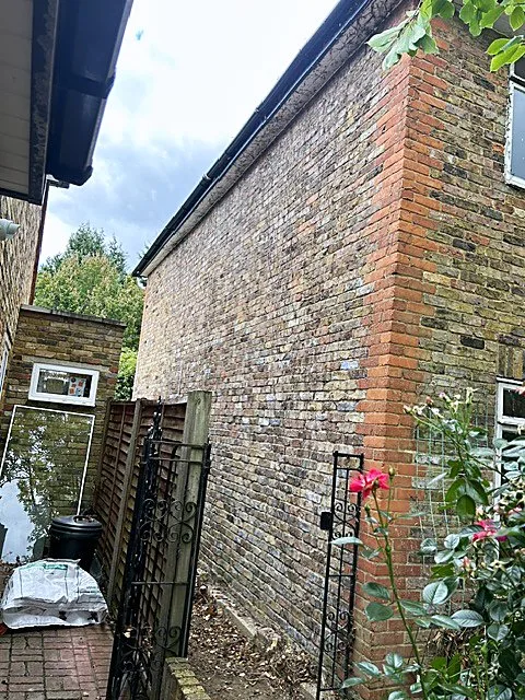 Ivy climbing a brick house wall near a rose bed