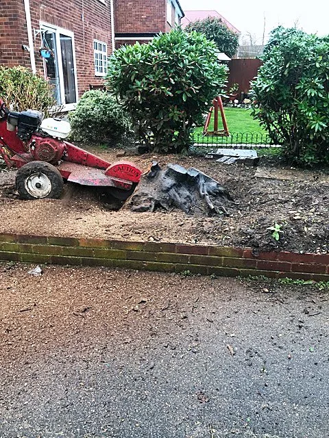 Garden clearance in progress with cleared debris and tools on a driveway