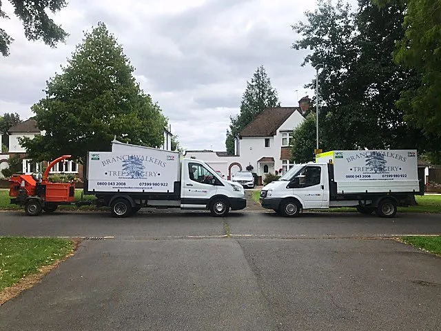 Branch Walkers Tree Surgery: Branch Walkers Tree Surgery vans and wood chipper parked on site near Pinner