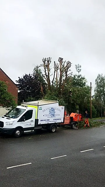 Branch Walkers Tree Surgery van parked on a residential road